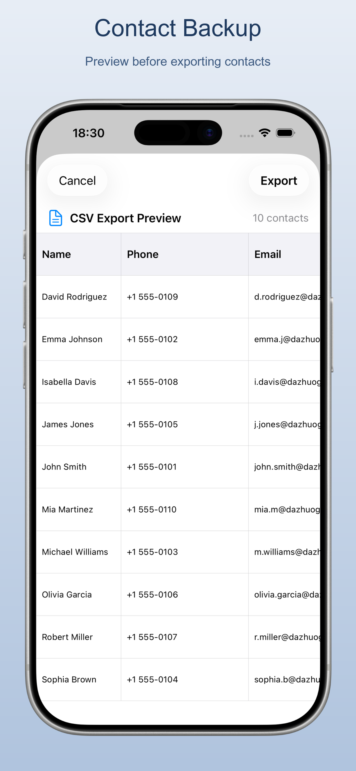 Export preview